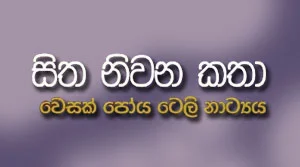 Sitha Niwana Katha - 29-07-2026
